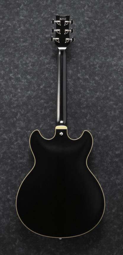 Ibanez JSM20 BKL John Scofield Electric Guitar W/Case (Black Low Gloss) — view 2