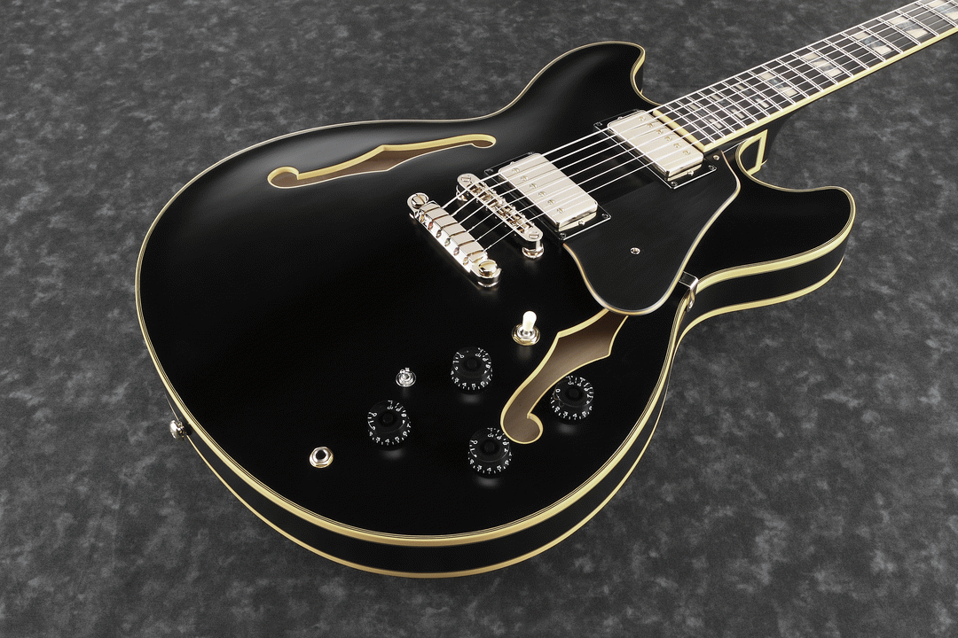 Ibanez JSM20 BKL John Scofield Electric Guitar W/Case (Black Low Gloss) — view 4