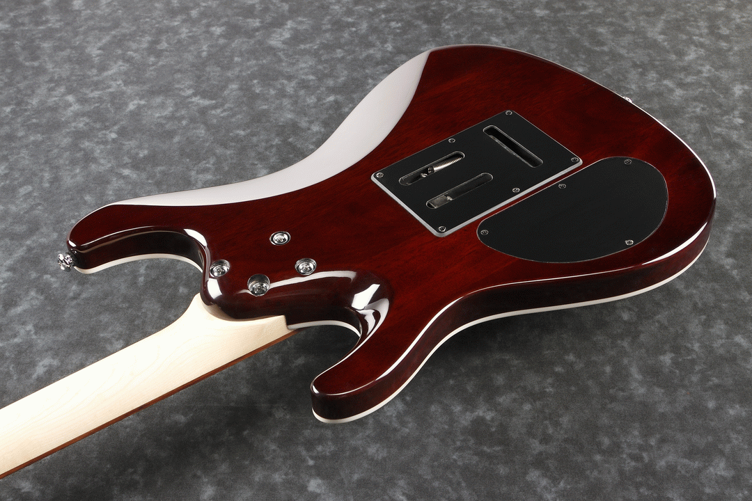 Ibanez SA260FM TGB Electric Guitar (Transparent Gray Burst) — view 3