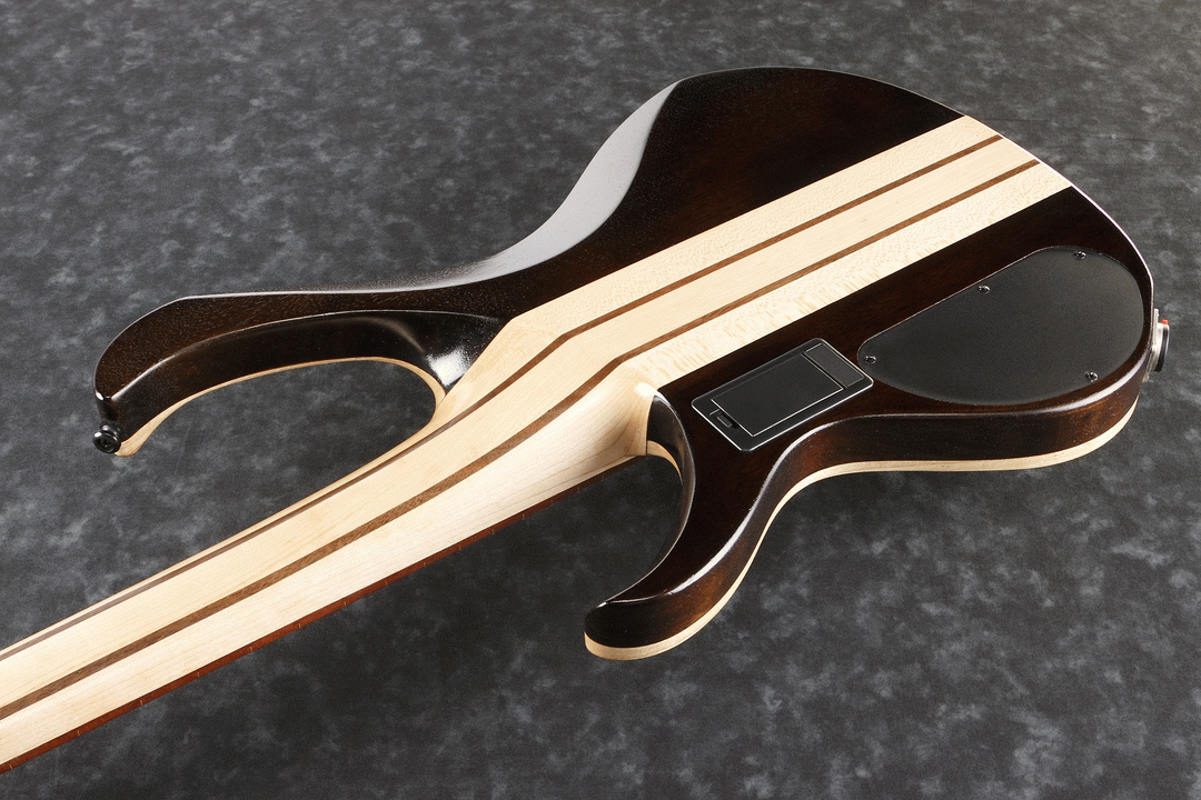 Ibanez BTB845V ABL Electric 5-String Bass (Antique Brown Stained Low Gloss) — view 3