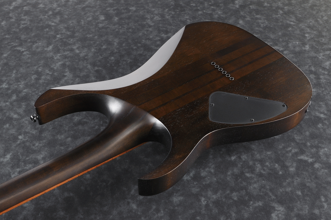 Ibanez RGRT421 WNF Electric Guitar (Walnut Flat) — view 4