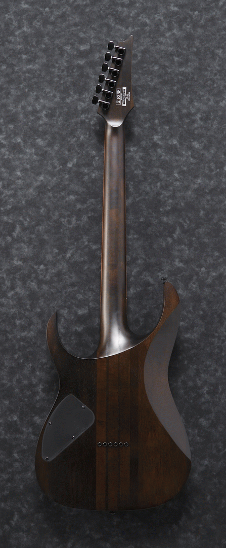Ibanez RGRT421 WNF Electric Guitar (Walnut Flat) — view 2