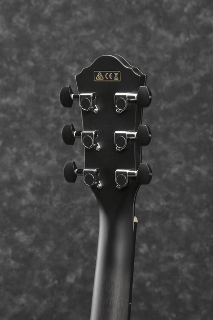 Ibanez AEWC400 TKS Acoustic-Electric Guitar (Transparent Black Sunburst) — view 4