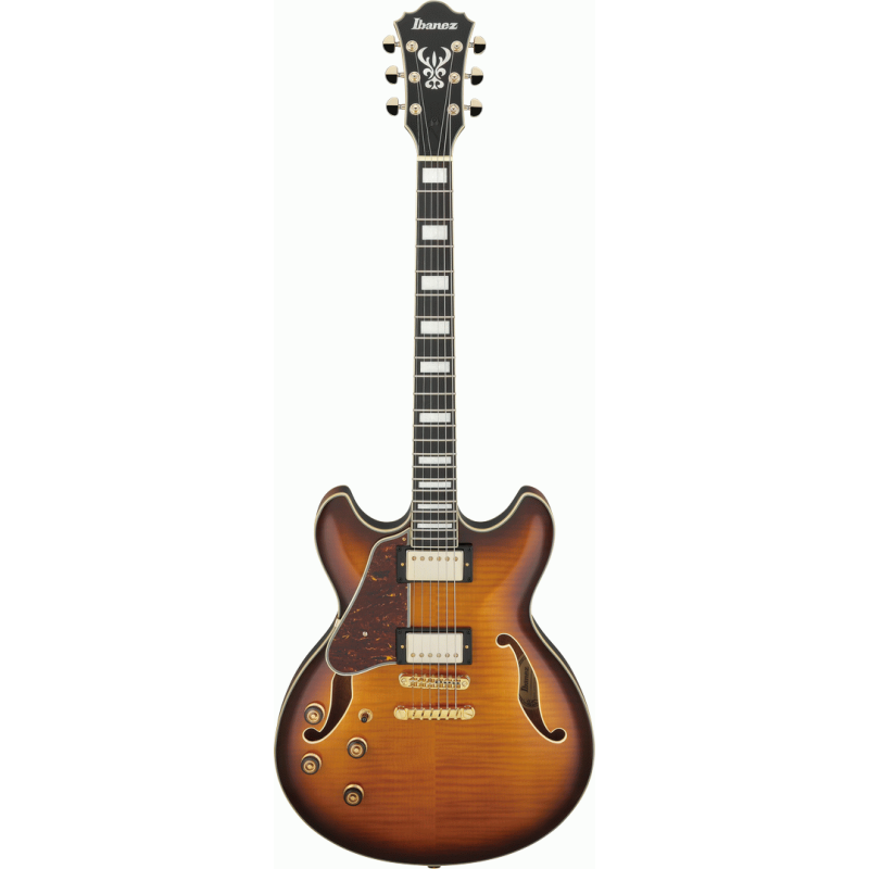 6042921AUSTRALIS front