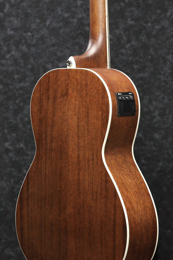 Ibanez PNB14E OPN Electric Bass Guitar (Open Pore Natural) — view 3
