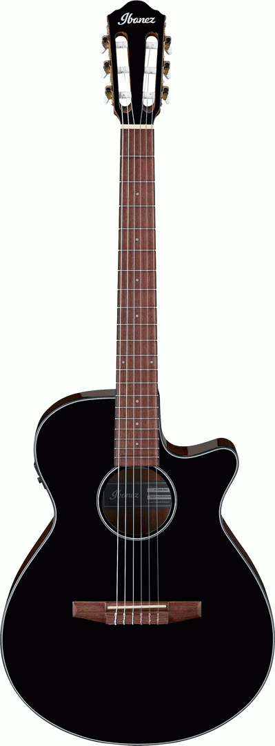 Ibanez AEG50N BKH Acoustic-Electric Guitar (Black High Gloss)
