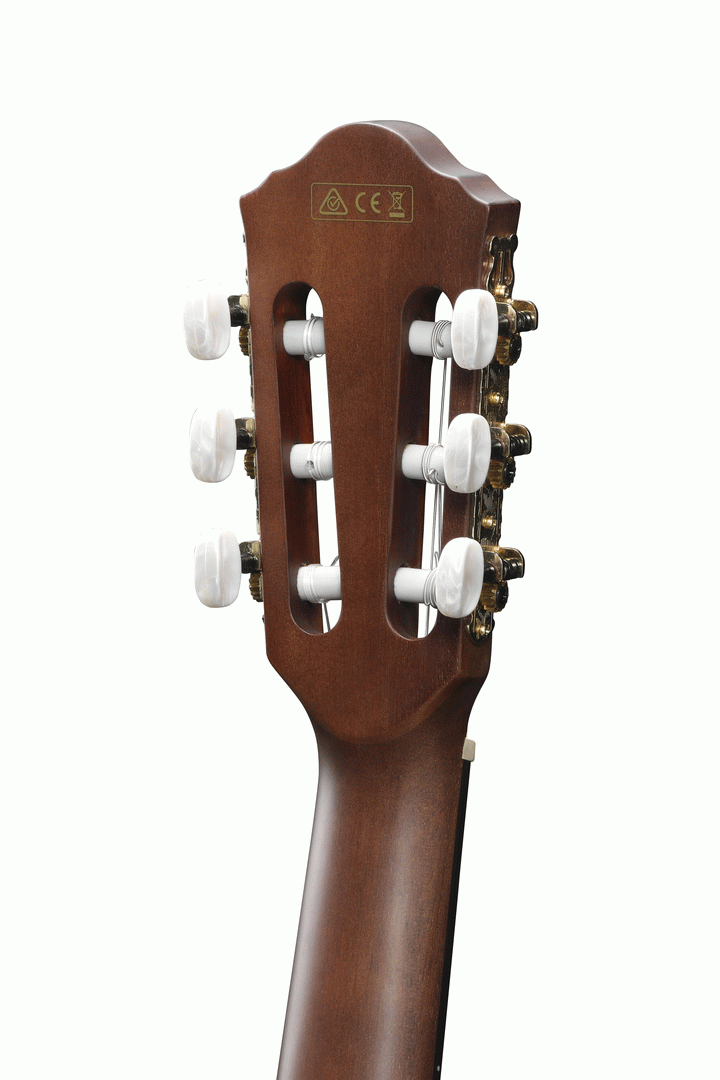 Ibanez AEG50N BKH Acoustic-Electric Guitar (Black High Gloss) — view 4