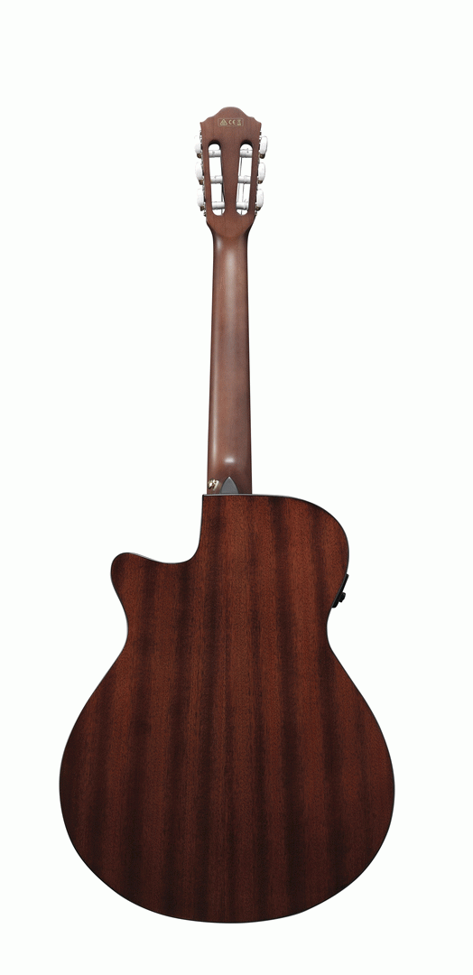 Ibanez AEG50N Classical Guitar w/ Cutaway & Pickup (Natural High Gloss) — view 2