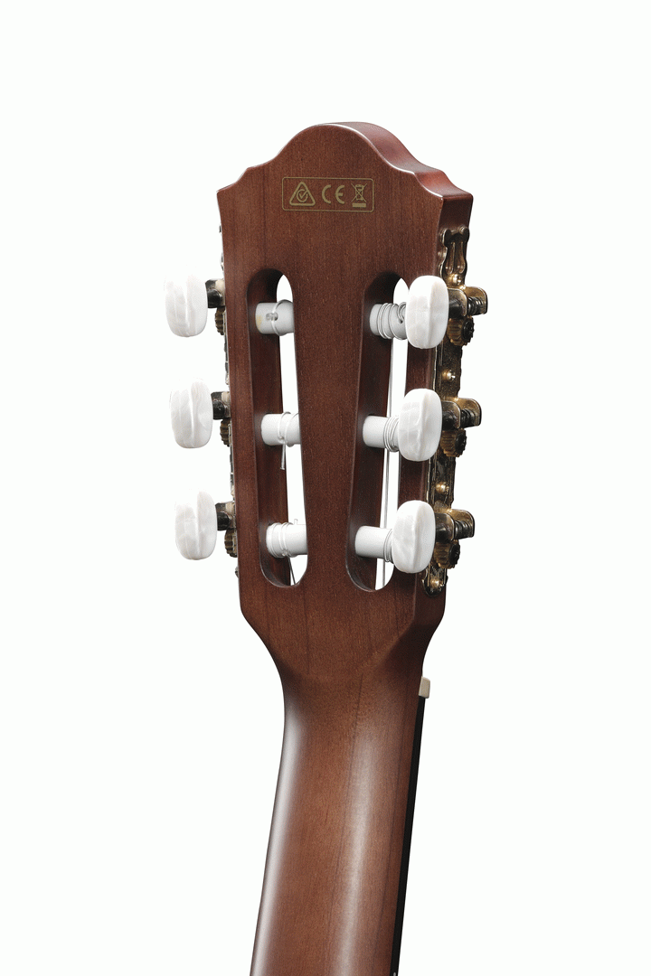 Ibanez AEG50N Classical Guitar w/ Cutaway & Pickup (Natural High Gloss) — view 4