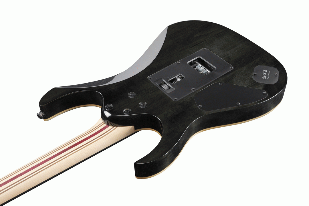 Ibanez RG1120PBZ CKB Premium Electric Guitar W/Bag (Charcoal Black Burst) — view 3