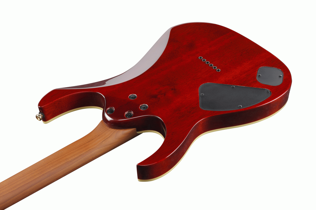 Ibanez RG421HPFM BRG Electric Guitar (Blue Reef Gradation) — view 3