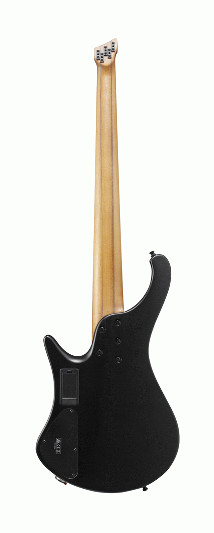 Ibanez EHB1005MS BKF Electric 5-String Bass (Black Flat) — view 2