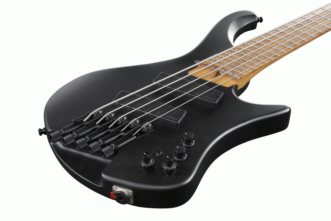 Ibanez EHB1005MS BKF Electric 5-String Bass (Black Flat) — view 4