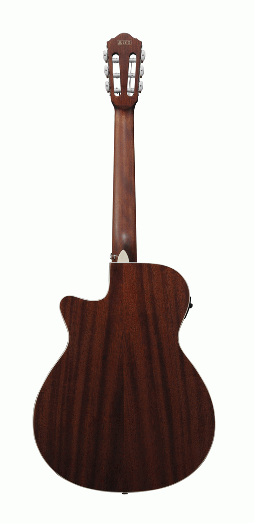 Ibanez AEG7TN NT Classical Guitar w/ Pickup - Natural — view 2