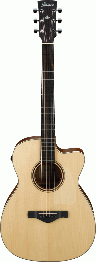 Ibanez ACFS300CE Acoustic Guitar w/Gigbag