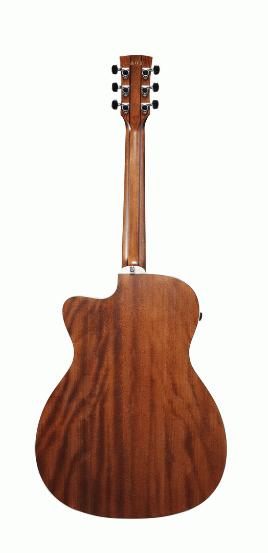 Ibanez ACFS300CE Acoustic Guitar w/Gigbag — view 2
