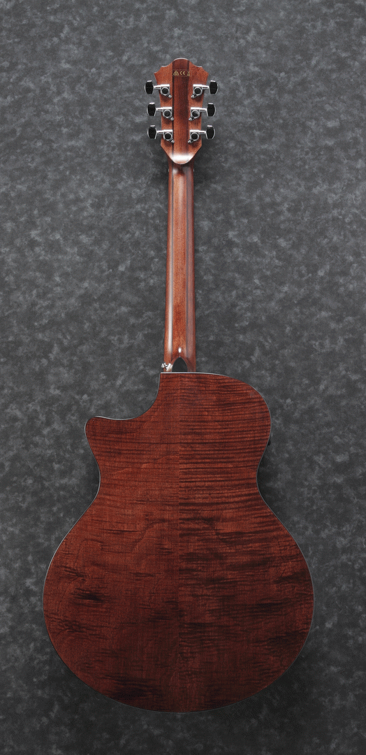 Ibanez AE325 LGS Acoustic/Electric Guitar (Natural Low Gloss) — view 2