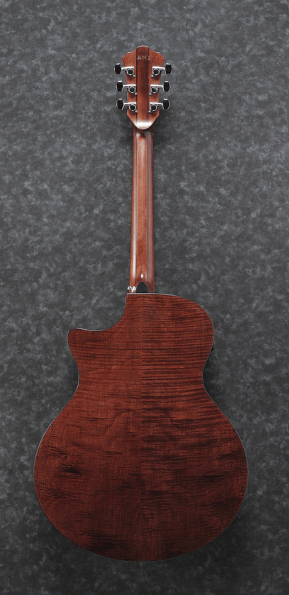 Ibanez AE325 LGS Acoustic/Electric Guitar (Natural Low Gloss) — view 2
