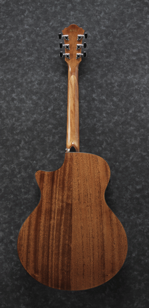 Ibanez AE295 LGS Acoustic-Electric Guitar (Natural Low Gloss) — view 2