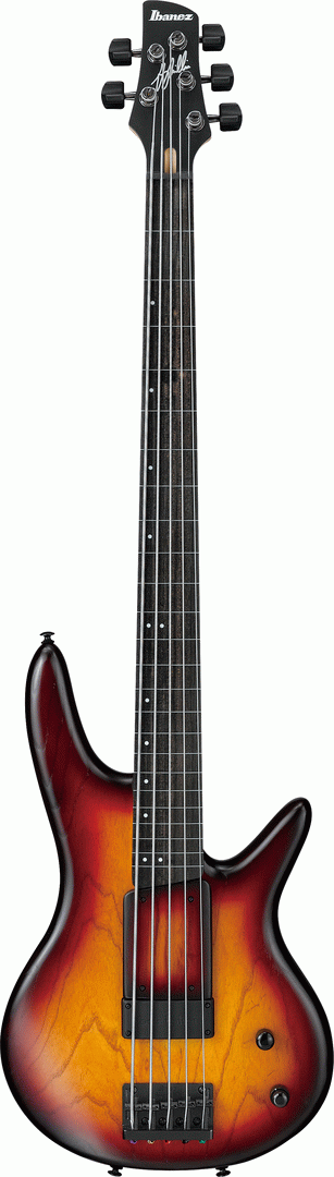 Ibanez GWB205 TQF Gary Willis Premium Electric 5-String Bass With Bag(Pgpbb) (Tequila Sunrise Flat)