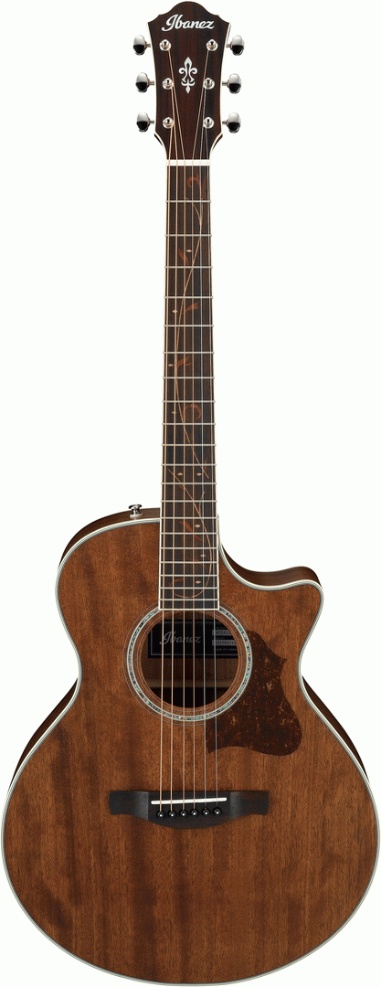 Ibanez AE245JR Junior Acoustic Electric Guitar (Open Pore Natural)
