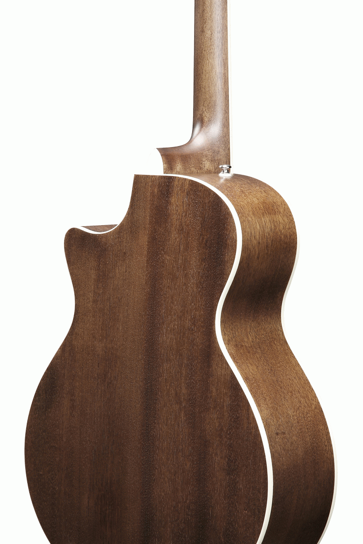 Ibanez AE245JR Junior Acoustic Electric Guitar (Open Pore Natural) — view 4