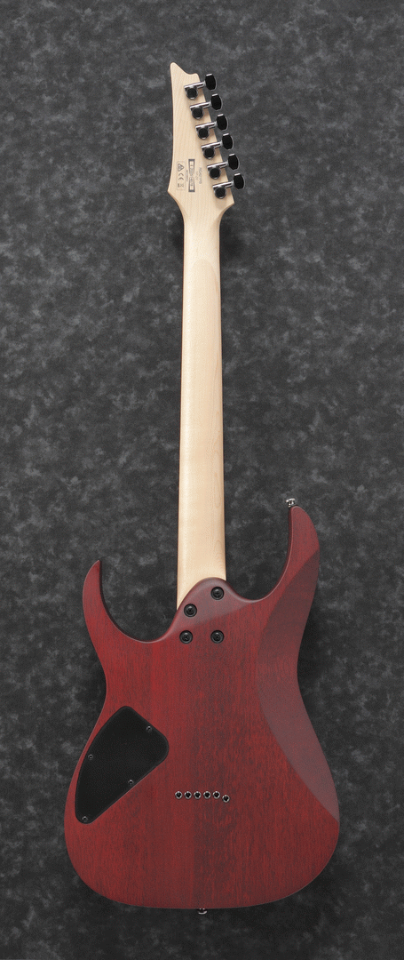 Ibanez RG421PB CHF Electric Guitar (Caribbean Shoreline Flat) — view 2