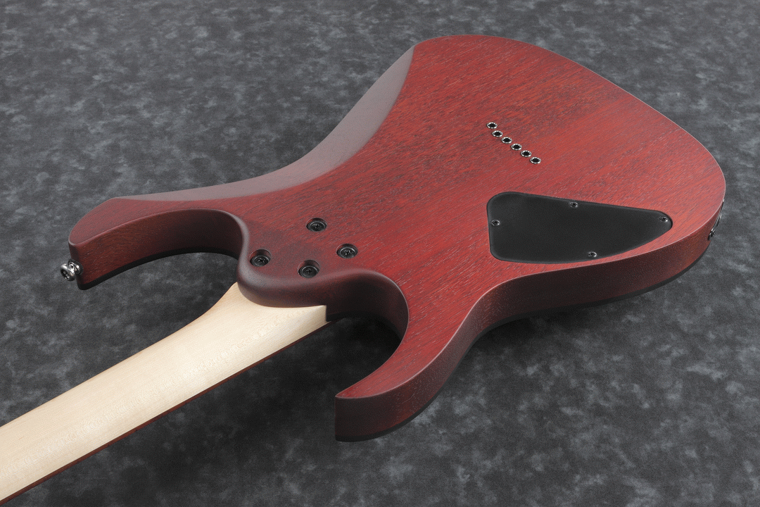 Ibanez RG421PB CHF Electric Guitar (Caribbean Shoreline Flat) — view 3