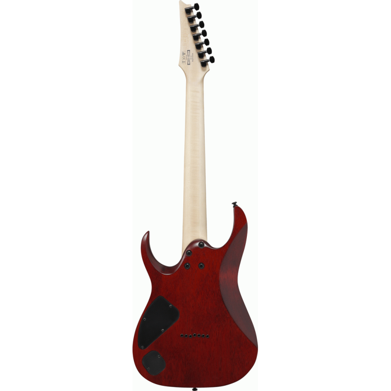 Ibanez RGA742FM TGF 7 String Electric Guitar - Transparent Gray Flat — view 2