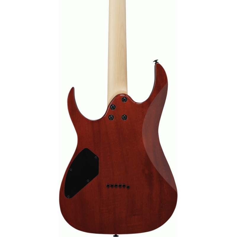 Ibanez RGR221PA AQB Gio Electric Guitar Aqua Burst — view 5