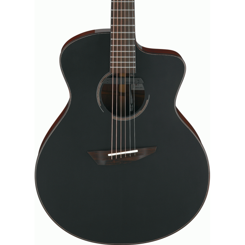 Ibanez JGM10 BSN Jon Gomm Acoustic Guitar with Case - Black Satin Top, Natural High Gloss Back and Sides — view 4