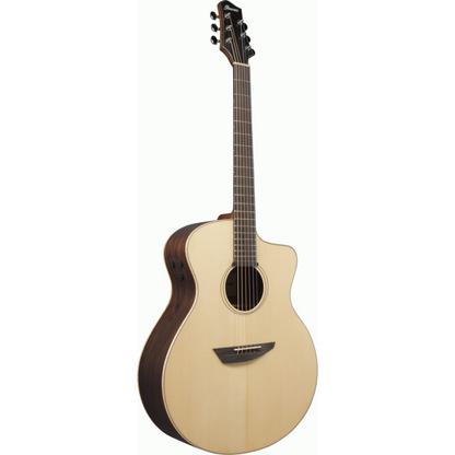 Ibanez PA300E NSL Acoustic Guitar — view 3
