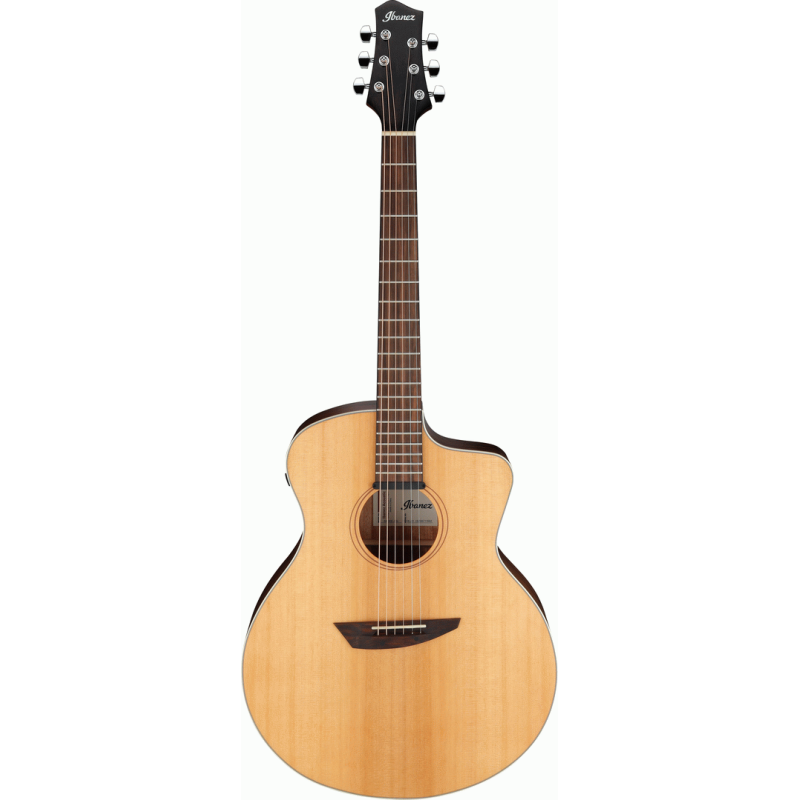 Ibanez PA230E NSL Acoustic Guitar