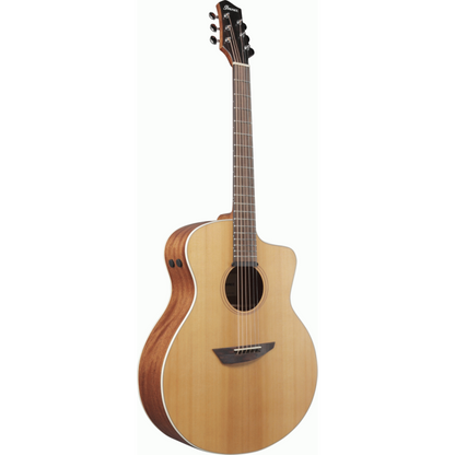 Ibanez PA230E NSL Acoustic Guitar — view 3