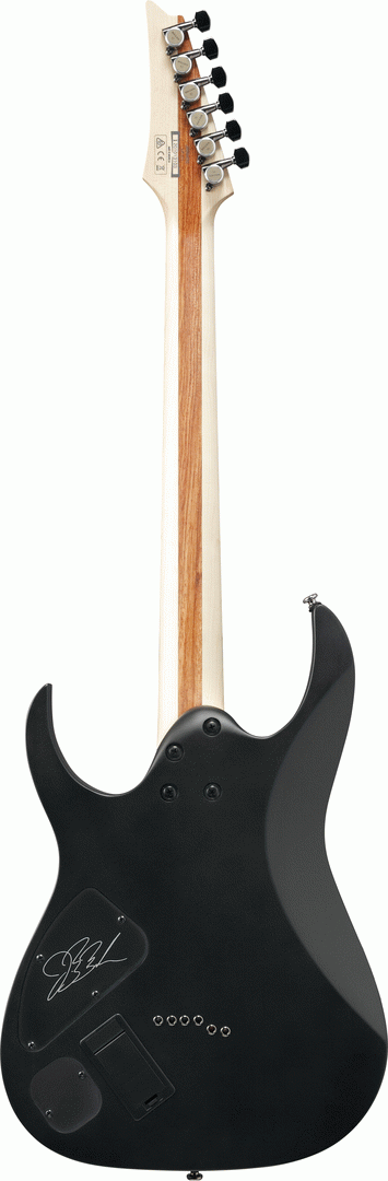 Ibanez JBBM30 Black Flat JB Brubaker Signature Model — view 2
