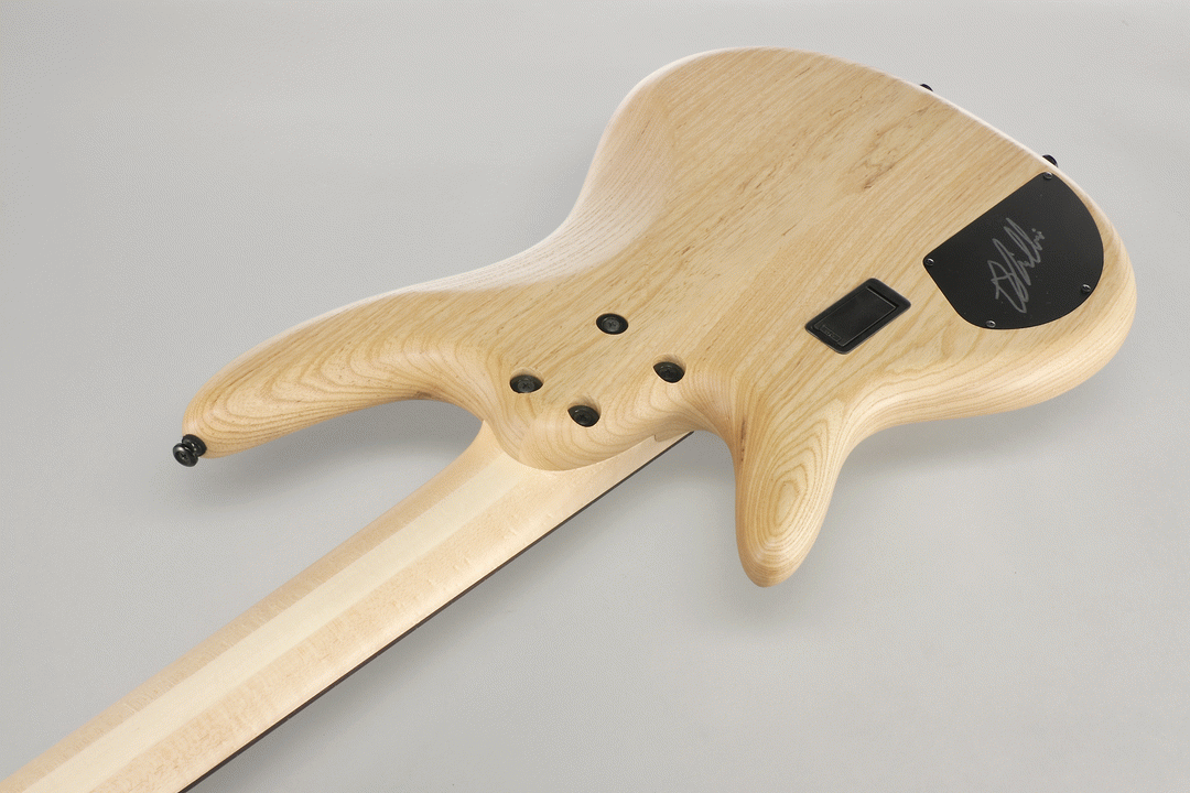 Ibanez GWB1005 NTF Gary Willis Electric 5-String Bass (Natural Flat) — view 2