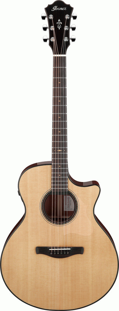Ibanez Ae410 Lgs Platinum Series Acoustic