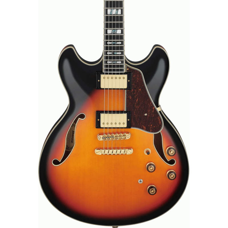 Ibanez AS113BS Semi-Acoustic Guitar — view 4
