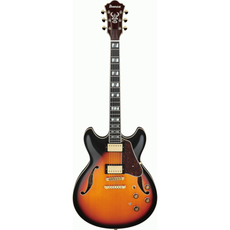Ibanez AS113BS Semi-Acoustic Guitar