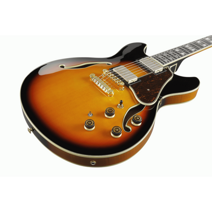Ibanez AS113BS Semi-Acoustic Guitar — view 6