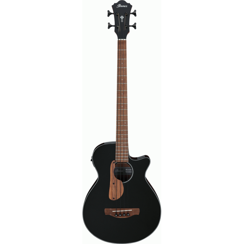 Ibanez AEGB24E BKH Acoustic Bass Guitar