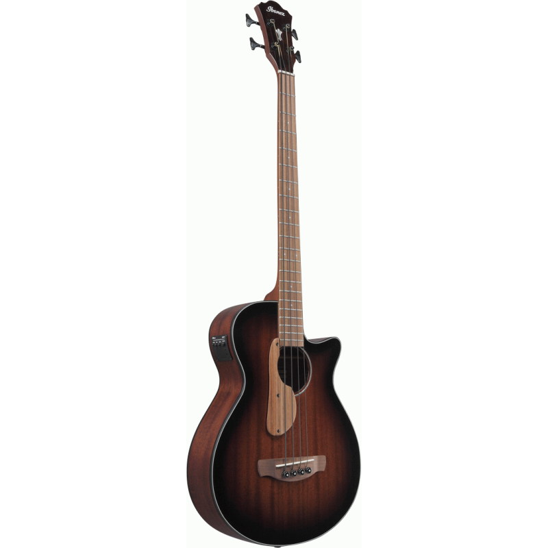 Ibanez AEGB24E MHS Acoustic Bass Guitar — view 3