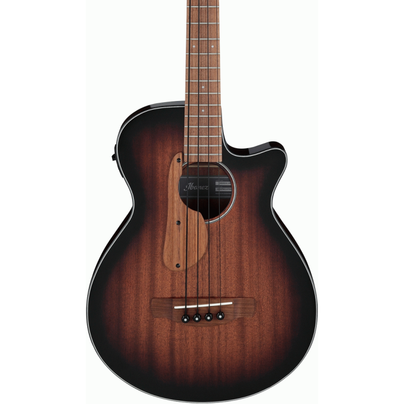 Ibanez AEGB24E MHS Acoustic Bass Guitar — view 4
