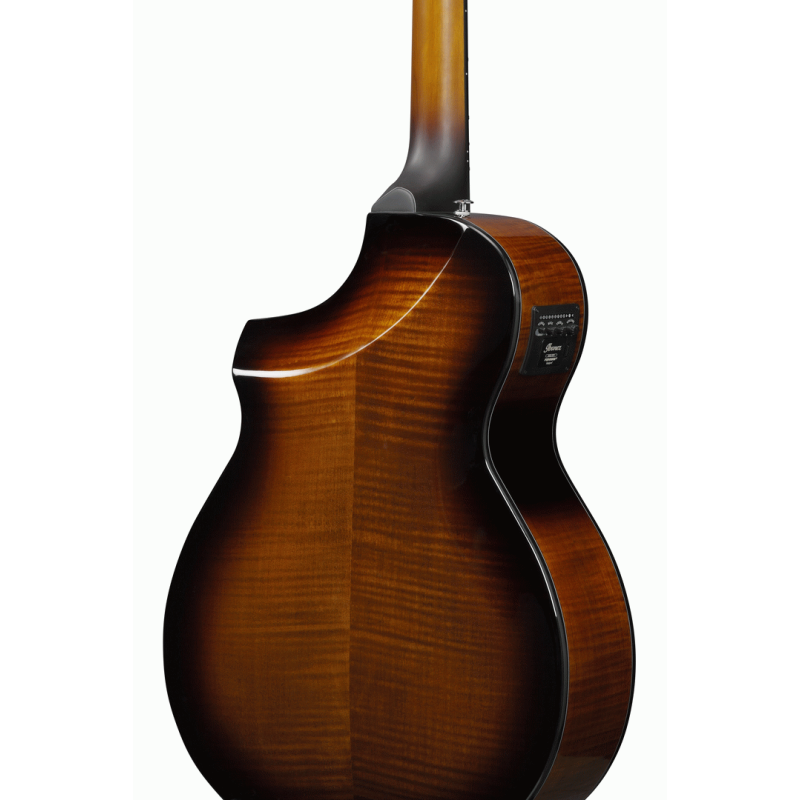Ibanez AEWC400 AMS Acoustic Guitar — view 4
