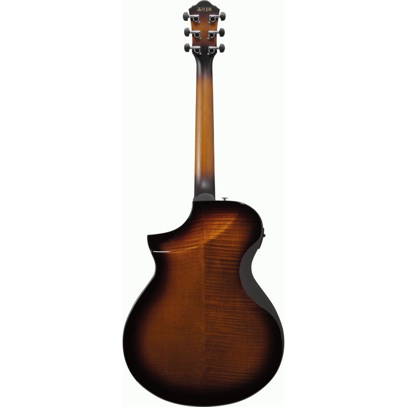 Ibanez AEWC400 AMS Acoustic Guitar — view 2