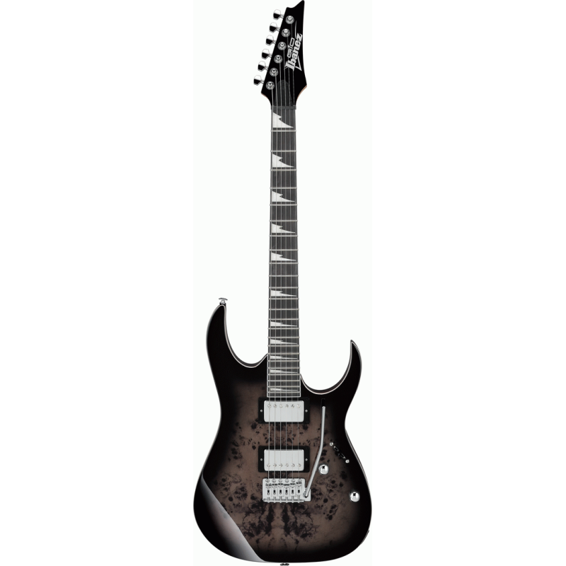 Ibanez RG220PA1 BKB Electric Guitar