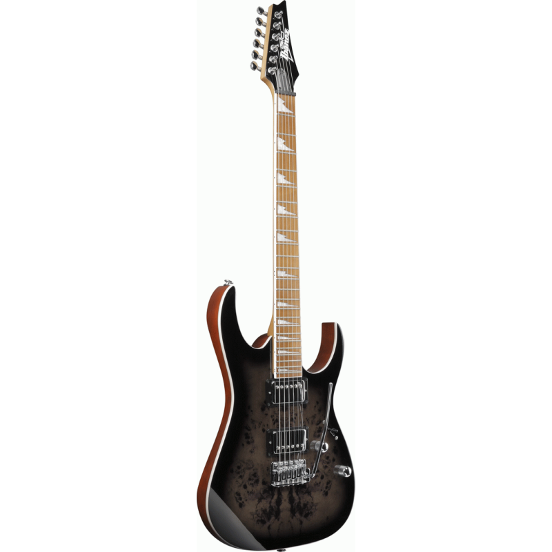 Ibanez RG220PA1 BKB Electric Guitar — view 3