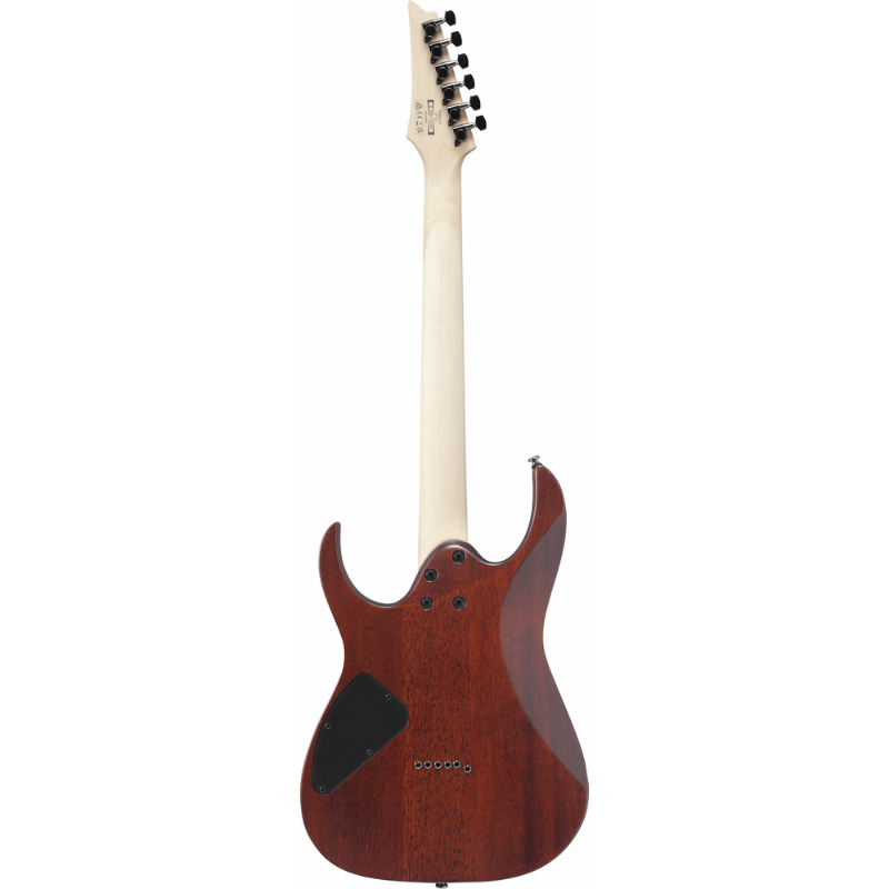 Ibanez RG421S SEM Electric Guitar — view 2