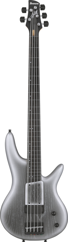 Ibanez GWB25THSWF Bass Guitar 5-String Fretless Silver Wave Burst Flat w/ Gigbag