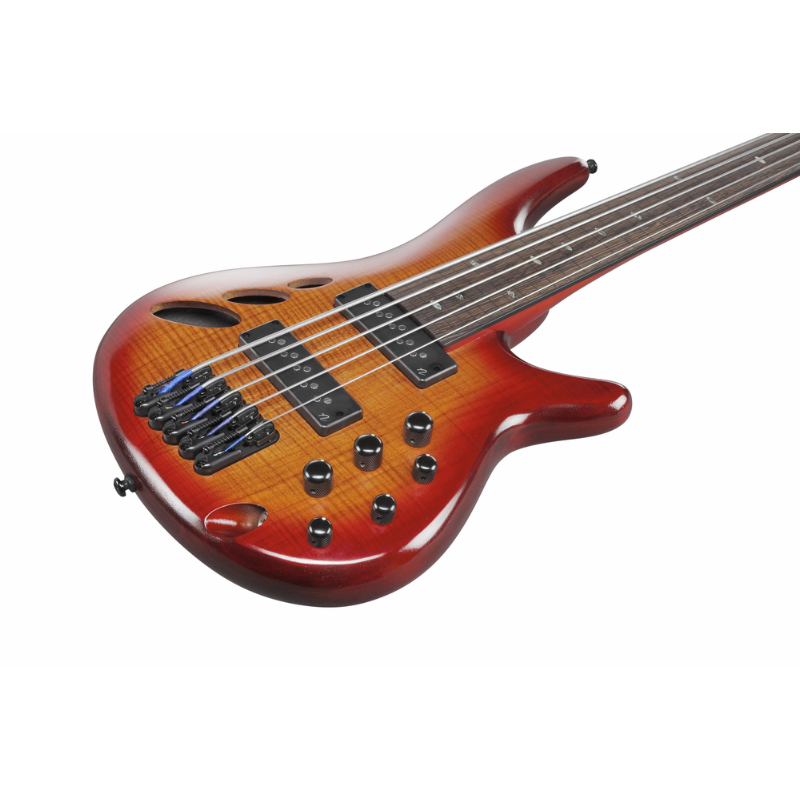 Ibanez SRD905F BTL Electric Bass with Panga Panga Fingerboard and Semi-Hollow Construction — view 5